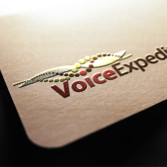 Voice Expeditions - Branding & Marketing Voice Expeditions - Branding & Marketing